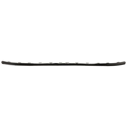 Bumper face bar trim - bumper, molding